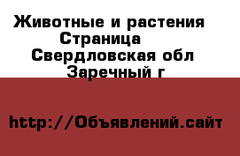  Животные и растения - Страница 10 . Свердловская обл.,Заречный г.